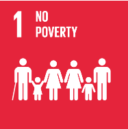 SDG 1