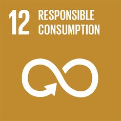 SDG 12